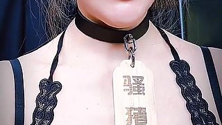 Pig Slave