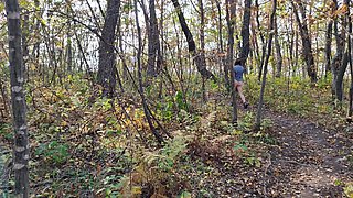 My Fall Walk Without Panties.