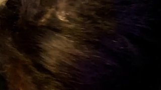 Hot Brunette Girlfriend POV Blowjob
