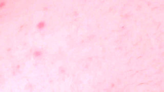 An Anniversary Pegging