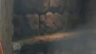 Private Cuckold Club. Exclusive 3D Simpsons Cartoon Parody.