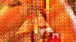 Brunette seductress working her big boobs and hot ass