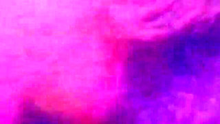 Disgusting Pig Pumps Milk