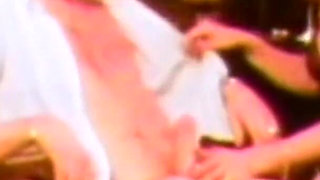 Vanessa the Exciter Pig