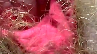 Hairy Pussy in Red Panties