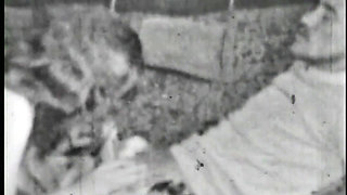 Black and White Beauties - (restyling Movie in Full HD
