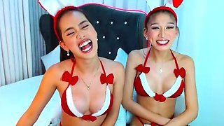 Amateur Asian Ladyboy Masturbates her Anus