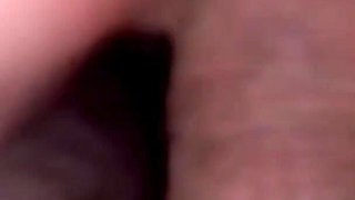 Insemination at User Meetings