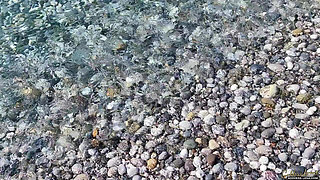 A Normal Day at the Beach