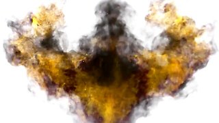 Lassie's hard cock porn