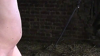 Extreme CBT and Ballbusting