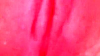 Pussy Wet