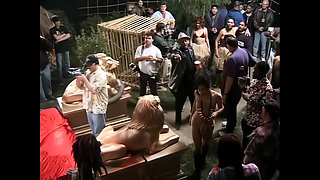 Just Another Crazy Orgy