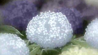 Fuck Me Like A Monster - fingering sex