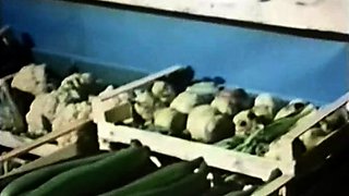 Amateur girlfriend homemade hardcore with cumshot