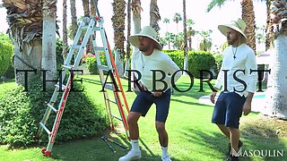 The Arborists, Part 2 - Bro Network