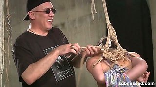 Hogtied Asian mature gets tits and pussy t. hard
