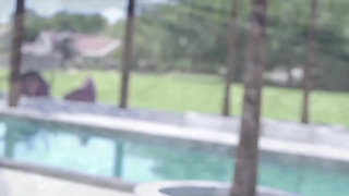 My Wife, a Hot and Insatiable Italian Slut (part 27)