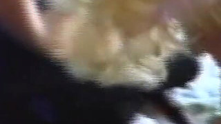 Two Vintage MILFs with Giant Tits Ass Fucked and Cummed in Mouth by Rocco Siffredi