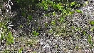 Full Public Day Video