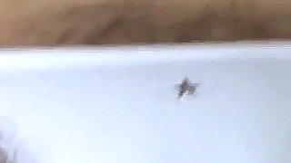 Ardientes 69 - on My Wife While She Masturbates
