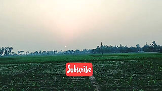 Bangladeshi Romantic Story taltking