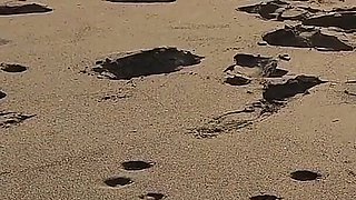 Beach Handjob: Beauty in Bikini Makes Him Get a Huge Cumshot at the Beach