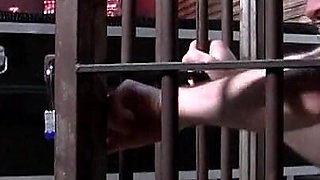 Milking Machine Cock Drain