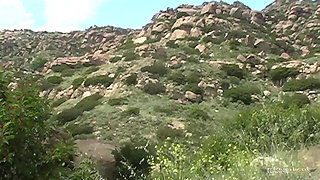 Romantic outdoor picnic gets spicy when Jackie Ashe suggests he takes her pussy from behind