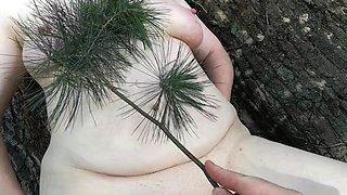 Tit Training and Whipping in the Woods