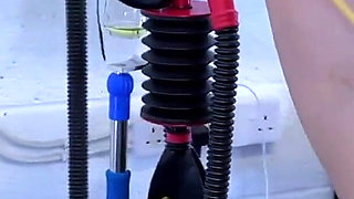 Inside the Training 17: Pig Suspended and Anally Fisted