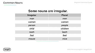 Introduction to Common Nouns in English