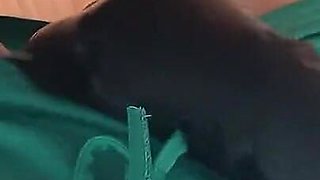 Teacher and Student Mutually Masturbate
