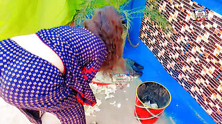 Pakistani girl viral video