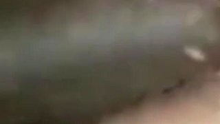 Bbwbootyful BBC Nata4sex fucking my hairy pussy doggy