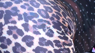 Intense Bareback Leggings Sex: Big Tits Bouncing & Pussy Cumshot - Lilykoti
