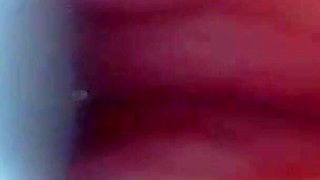 First Time: an Endoscope Reveals the G-spot up Close - Without Mounting!