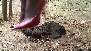 Perverse Sinners - (trauma #08)