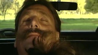Drive in. a Society Story.