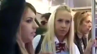 9080ioi: Blowjob, Groupsex  Cowgirl Porn