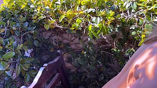 Blonde emo amateur solo masturbation