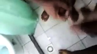 Daddy's Amateur Adventure