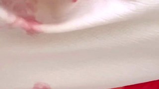 Desi Indian Romance with a Hot Indian Bengali Girl with a Sexy Figure