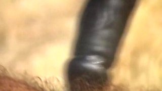 Classic German Kinky Threesome with Hot Chicks