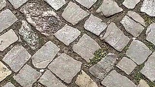 Surprise