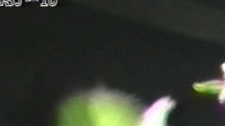 Hot amateur hidden cam