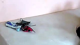 Casadinha released the pussy in the cafofo and enjoyed hot
