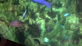 Visit The Aquarium With Before Heading Home For A Bath And Some Masturbation With Jessica Rex And Atk Girlfriends