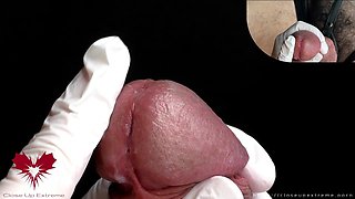 Glans Game with White Latex Gloves in Super-closeup
