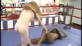 BLOW Wrestling Jungle Queen vs Ebony Barbie: Babe, Catfight  Wrestilng Porn